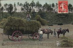 VINTAGE POSTCARD the re-entry of corns