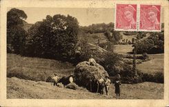 VINTAGE POSTCARD Auvergne the re-entry of the hay