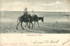 CPA Ane Mule Enfants promenade sur la plage 