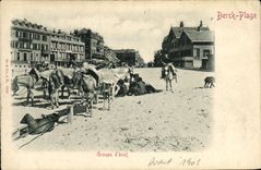 CPA Ane Mule Berck plage Groupe d'anes 