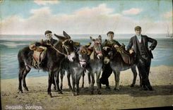 CPA Ane Mule Seaside Donkeys 