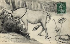 CPA Ane Mule Robinson 