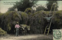 CPA Folklore La vie aux champs La derniere charretee Attelage Boeufs 