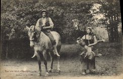 VINTAGE POSTCARD Folklore country life Return to the firm Horse