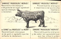 CPA Indien Publicite Musculosine Boeuf