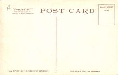 Vacas de marcado en caliente del vaquero de la POSTAL de la VENDIMIA