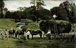 VINTAGE POSTCARD Folklore Haymaking Publicity With the quadrant of the Goblins Which occurred of the Paris Goblins