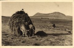 CPA Folklore La fenaison sur les Hauts Plateaux 