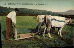 CPA Folklore Le labourage Boeufs 
