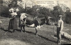 CPA Folklore Scenes de la vie normande Visite a la ferme Apres la traite Vache 