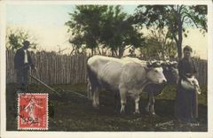 CPA Folklore Labour Boeufs 