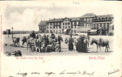 CPA Ane Mule Berck Plage Le rendez vous des anes