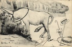 CPA Ane Mule 
