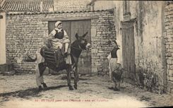 CPA Ane Mule En route pour les champs Ane en culottes 
