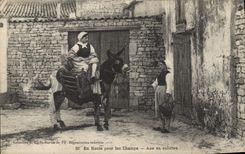 CPA Ane Mule En route pour les champs Ane en culotte 