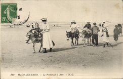 VINTAGE POSTCARD Ass Malo Mule les Bains the walk of the asses