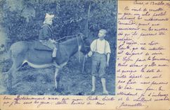 VINTAGE POSTCARD Ass Mule Children