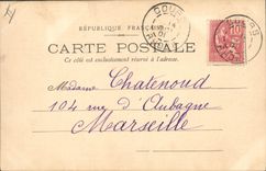 VINTAGE POSTCARD Ass Mule Children