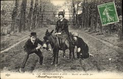 VINTAGE POSTCARD Ane Mule the walks has ass Martin does not go