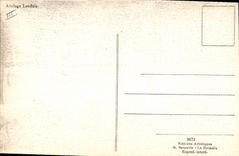 VINTAGE POSTCARD Ane Mule Coach landais