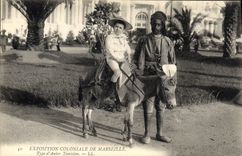 VINTAGE POSTCARD Ass Mule Fair colonial of Standard Marseilles of Tunisian donkey-driver Child