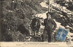 VINTAGE POSTCARD Child the small chevrier of the Cevennes School buisonniere