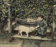 CPA Folklore Le petit nourricier Agneau 