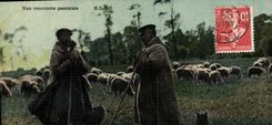 CPA Folklore Une rencontre pastorale Chien Moutons