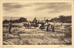 VINTAGE POSTCARD Folklore harvests