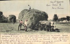CPA Folklore Aux champs Attelage 