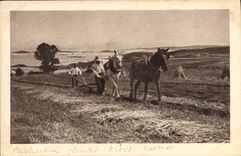 CPA Folklore Attelage Labour Cheval chocolat klaus 