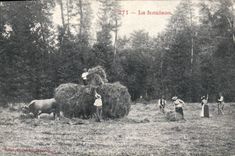 CPA Folklore La fenaison Cheval