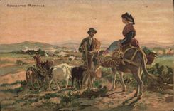 VINTAGE POSTCARD Chevre Meets morning Chein