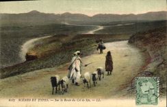 CPA Chevre Scenes et Types Sur la route du col de Sfa Tunisie