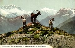 CPA Chevre Sur les sommets Aiguille verte et le Mont Blanc 