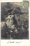 VINTAGE POSTCARD Goat Living room 1905 Bonnefoy Confidence