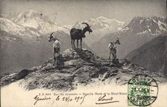CPA Chevre Sur les sommets Aiguille verte et le Mont Blanc