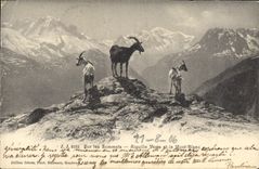 CPA Chevre Sur les sommets Aiguille verte et le Mont Blanc