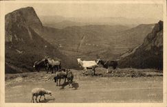VINTAGE POSTCARD Chevre Auvergne Environs of the Mount Gilds Valley of Sioule and the rocks Sasnadoire and Tuiliere