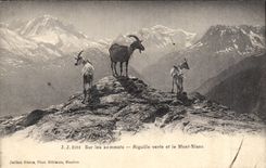 CPA Chevre Sur les sommets Aiguille verte et le Mont Blanc