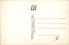 CPM Cinema Madeleine Sologne 