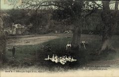 CPA Folklore La vie aux champs La gardeuse d'oies