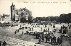 CPA Le Mans La place des Jacobins un jour de marche Vaches TOP