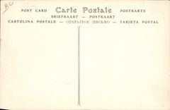 La POSTAL de la VENDIMIA sirve el lugar del Jacobins un día de TAPA de las vacas del mercado