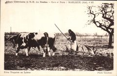 CPA Abbaye cistercienne de Nd des Dombes Gare et poste Marlieux Frere trappiste au labour Boeufs 