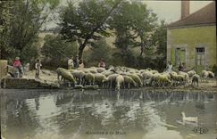 CPA Folklore Moutons a la mare Enfants 