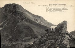 VINTAGE POSTCARD Chevre Puy Mary seen of the road of Murat has Salers