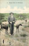 VINTAGE POSTCARD Goat Shepherd in the mountain