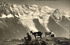 VINTAGE POSTCARD Goat Chamonix Dog