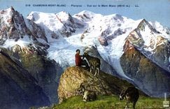 CPA Chevre Chamonix Mont Blanc Planpraz Vue sur le Mont Blanc 